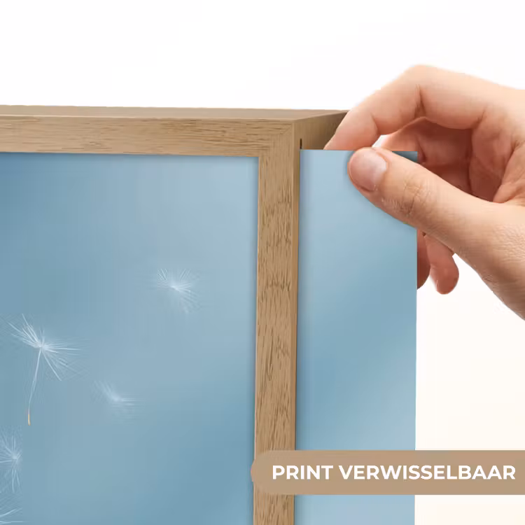 Lightbox - Wandlamp - Paardenbloem - Wind - Blauw — 5