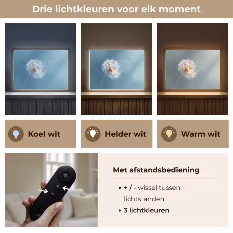 Lightbox - Wandlamp - Paardenbloem - Wind - Blauw — 8