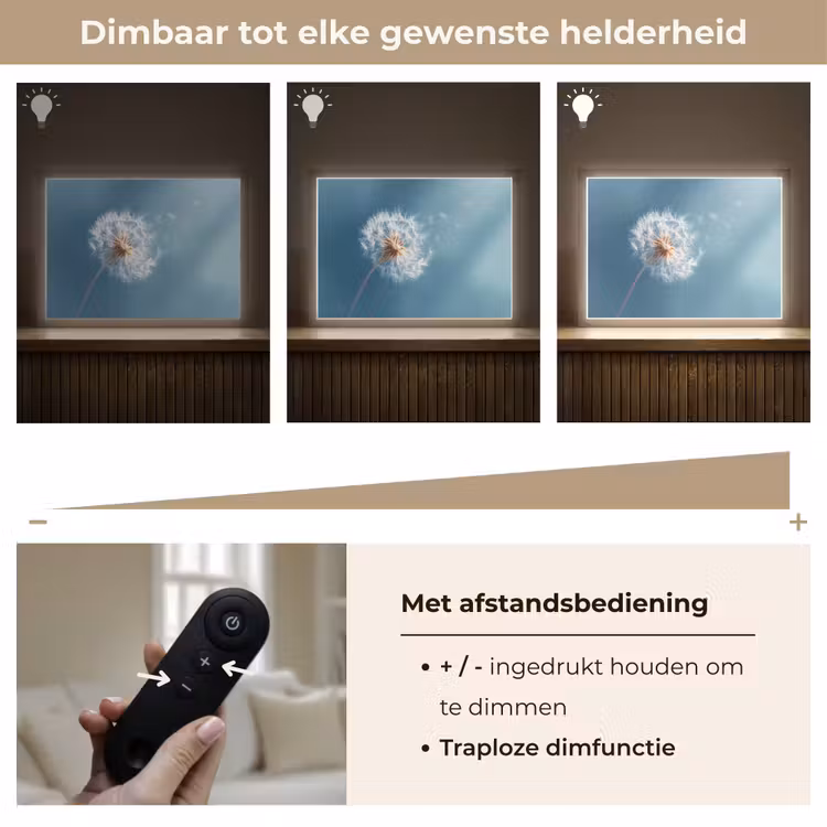 Lightbox - Wandlamp - Paardenbloem - Wind - Blauw — 9