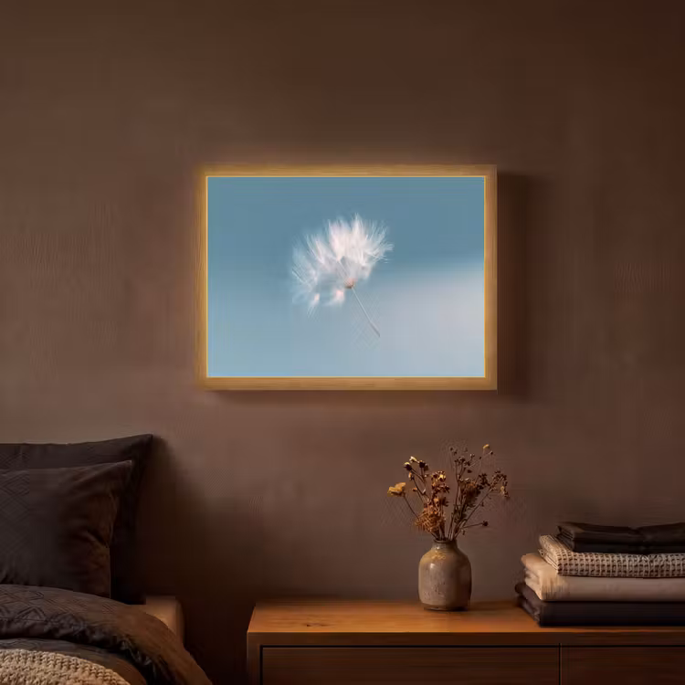 Lightbox - Wandlamp - Paardenbloempluisje - Blauw - Lucht — 3