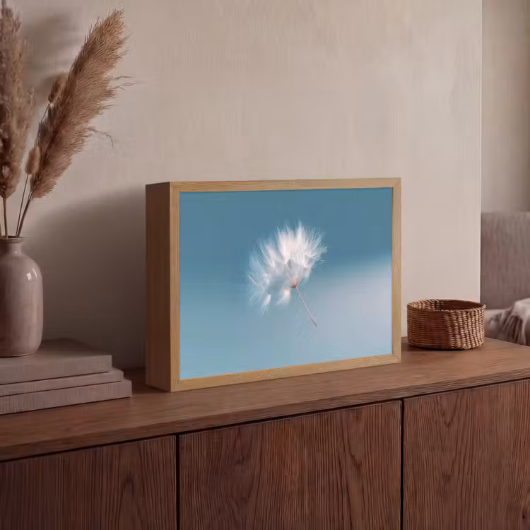 Lightbox - Wandlamp - Paardenbloempluisje - Blauw - Lucht — 4