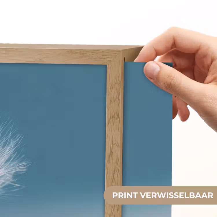 Lightbox - Wandlamp - Paardenbloempluisje - Blauw - Lucht — 5