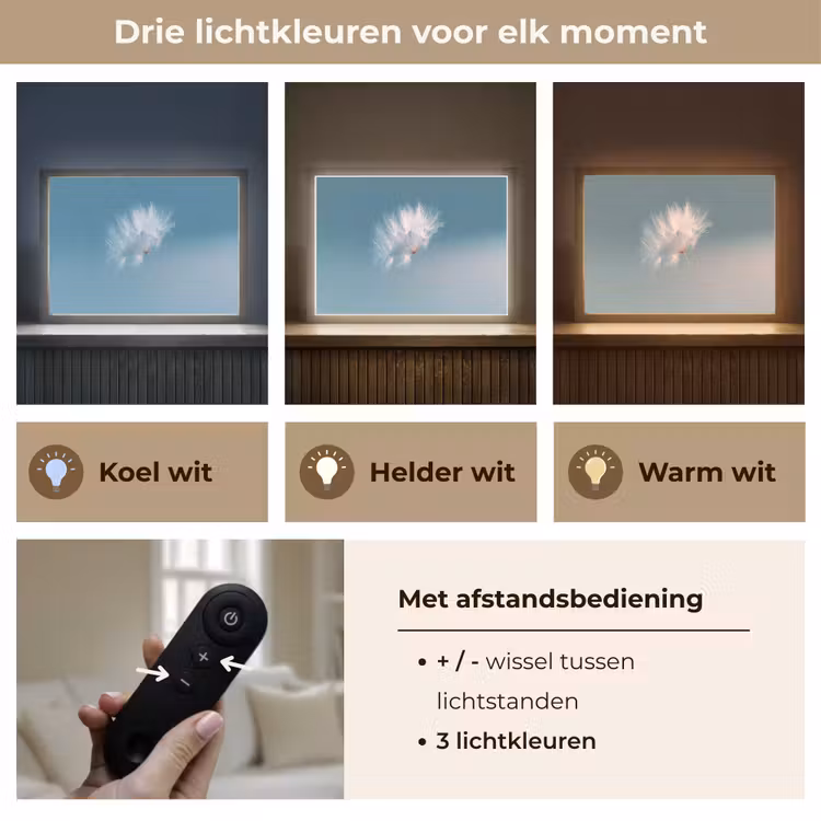 Lightbox - Wandlamp - Paardenbloempluisje - Blauw - Lucht — 8