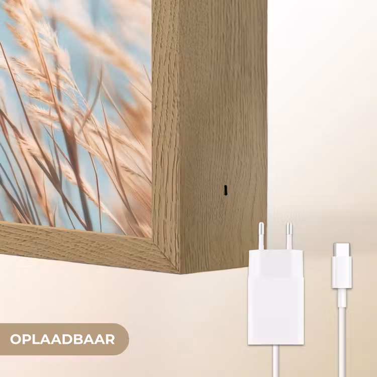 Lightbox - Wandlamp - Siergras - Wind - Lichtbruin — 7