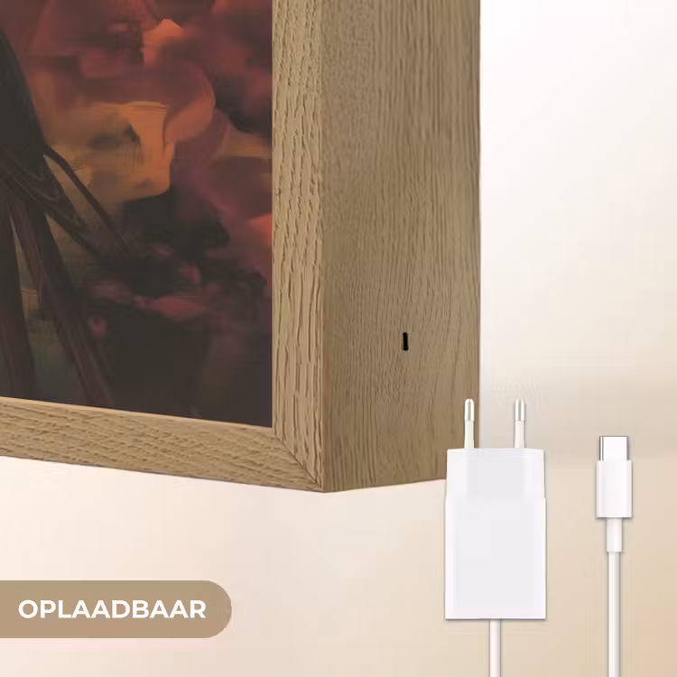 Lightbox - Wandlamp - Vrouw - Bloemen - Papegaai - Schilderachtig — 7