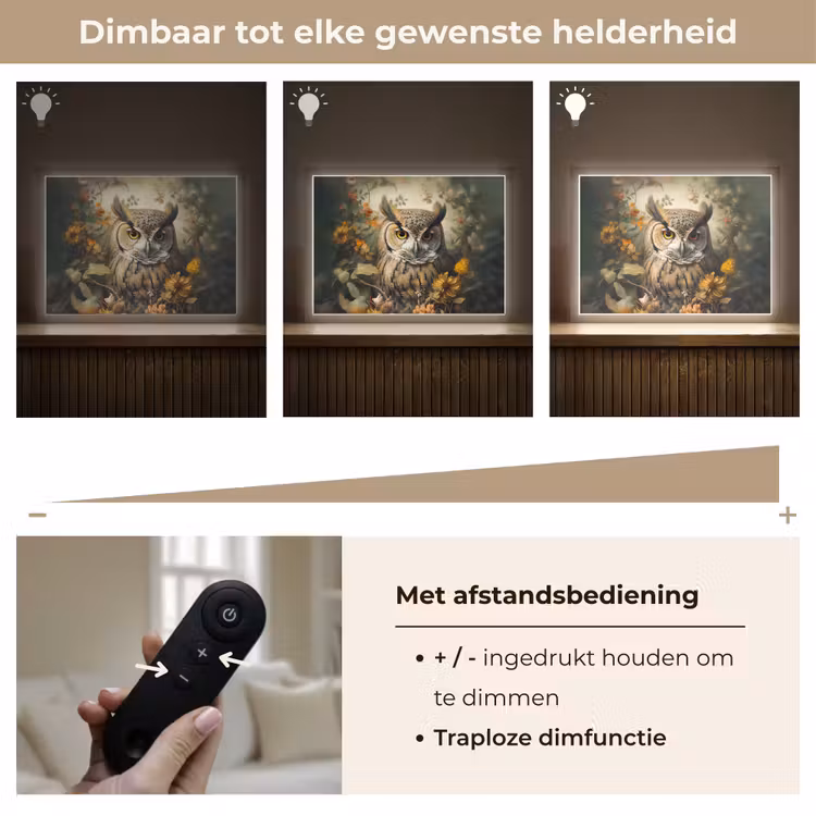 Lightbox - Wandlamp - Uil - Vogels - Bloemen - Natuur — 9