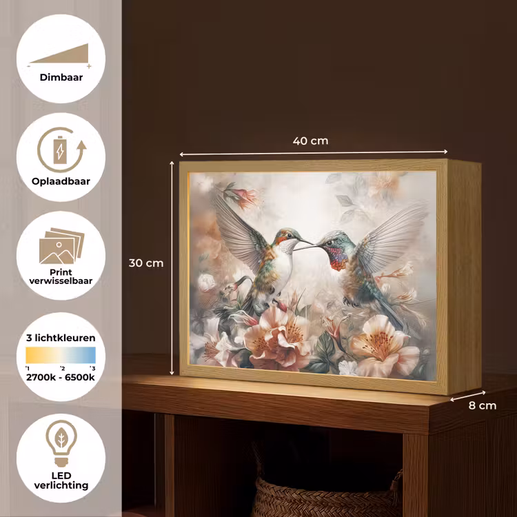 Lightbox - Wandlamp - Kolibrie - Vogels - Bloemen - Natuur — 10