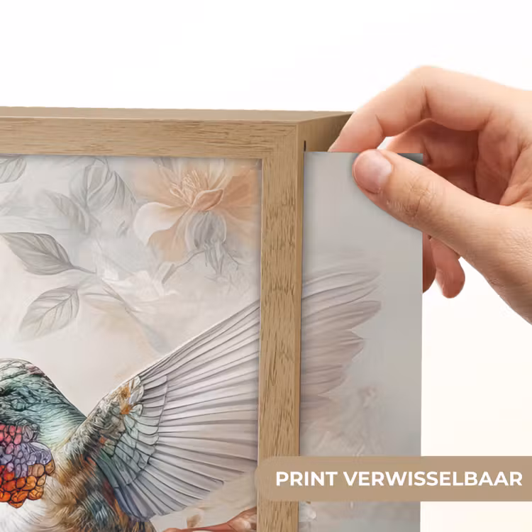Lightbox - Wandlamp - Kolibrie - Vogels - Bloemen - Natuur — 5