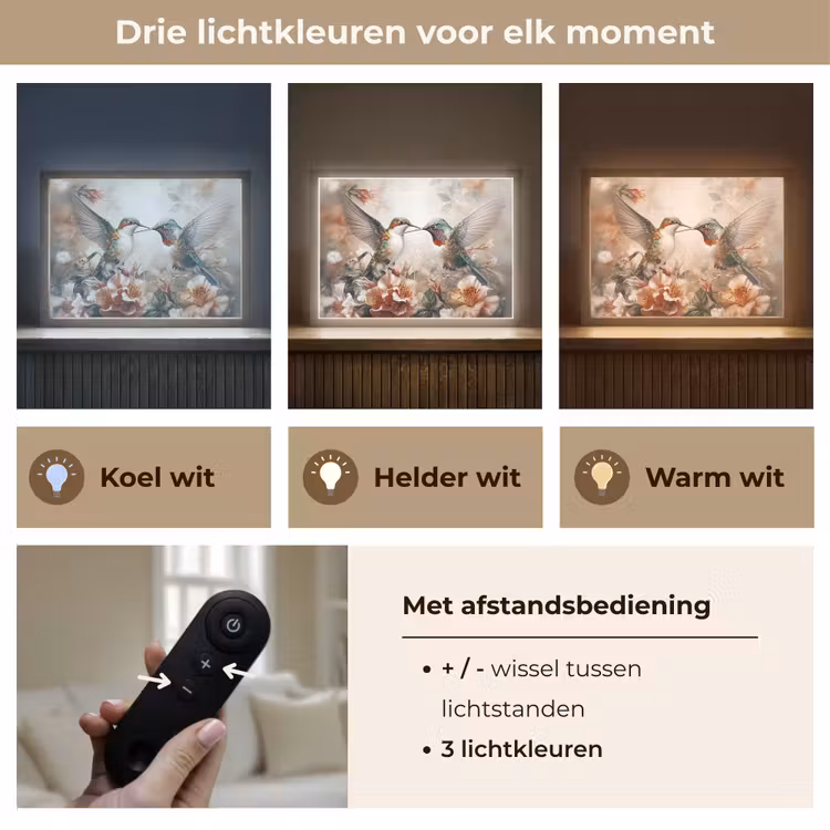 Lightbox - Wandlamp - Kolibrie - Vogels - Bloemen - Natuur — 8