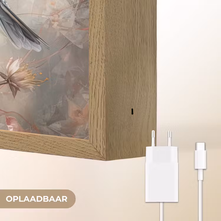 Lightbox - Wandlamp - Kolibrie - Vogels - Bloemen - Planten — 7