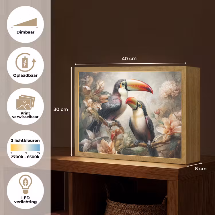 Lightbox - Wandlamp - Toekan - Vogels - Bloemen - Jungle — 10