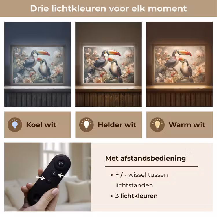 Lightbox - Wandlamp - Toekan - Vogels - Bloemen - Jungle — 8