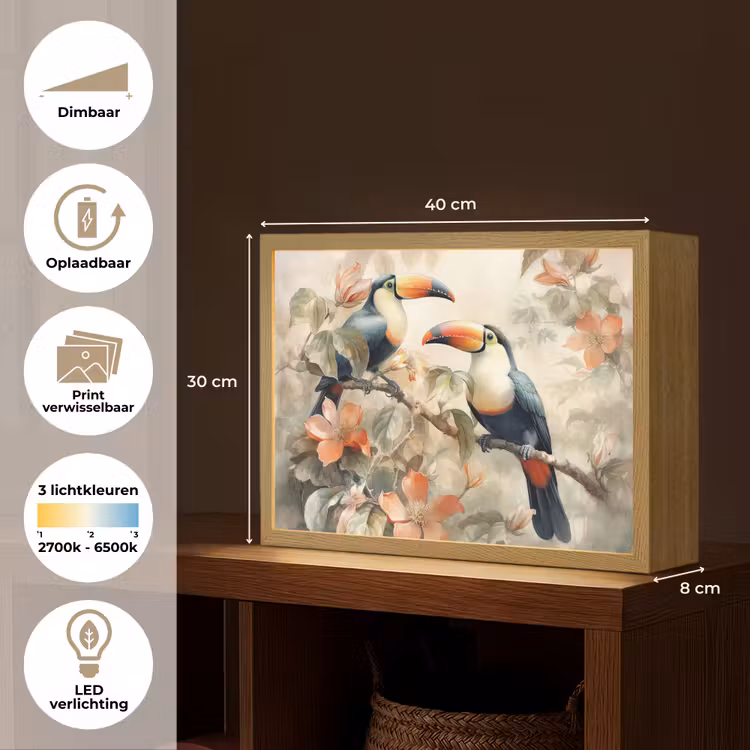 Lightbox - Wandlamp - Toekan - Vogels - Bloemen - Tak — 10