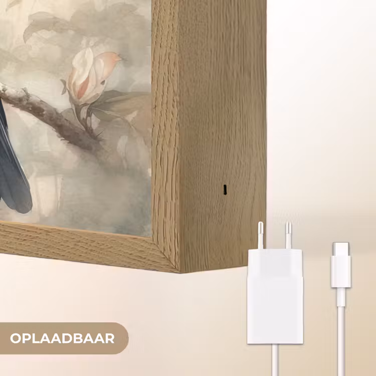 Lightbox - Wandlamp - Toekan - Vogels - Bloemen - Tak — 7