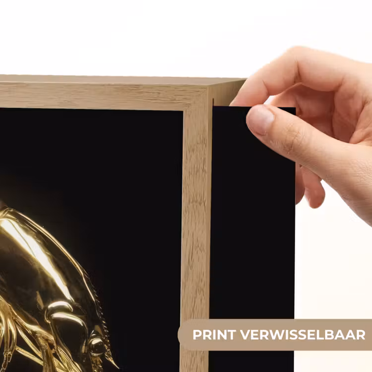 Lightbox - Wandlamp - Garnalen - Zwart - Goud - Dieren — 5