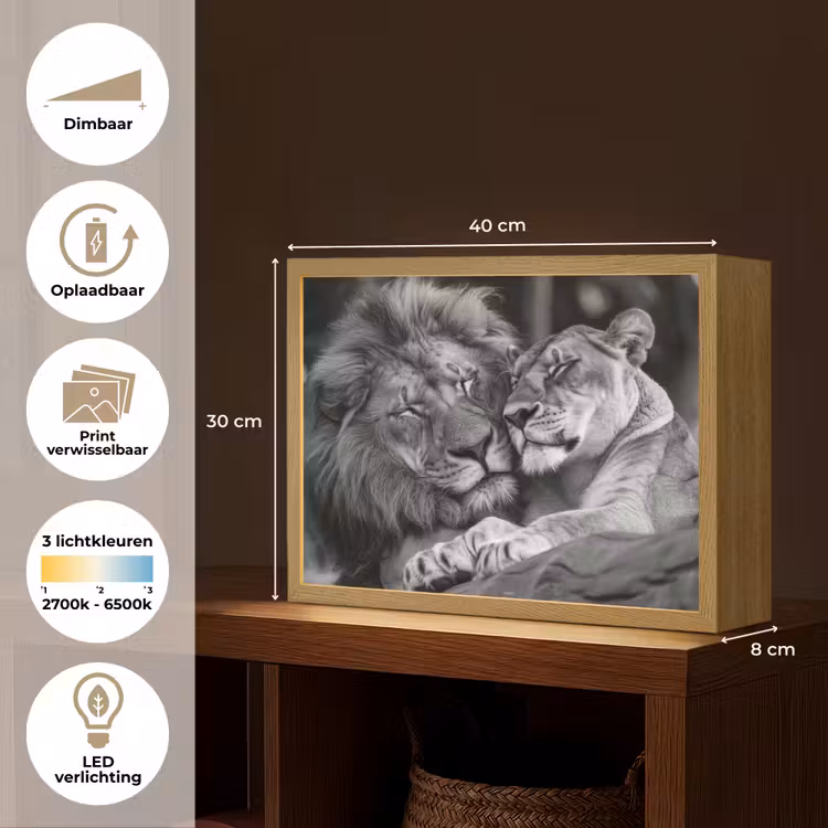 Lightbox - Wandlamp - Leeuwen - Dieren - Zwart - Wit - Leeuw — 10