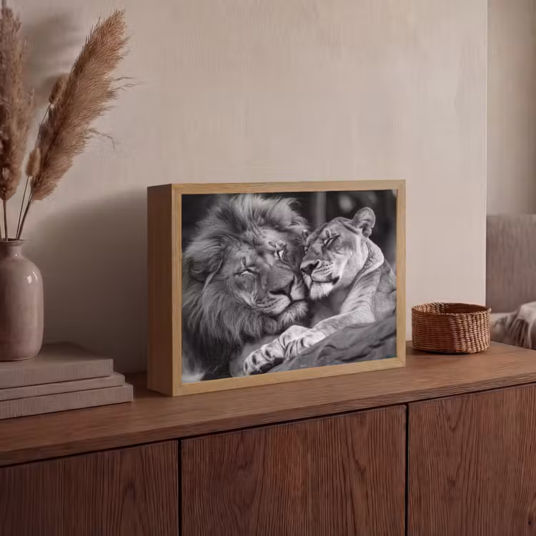 Lightbox - Wandlamp - Leeuwen - Dieren - Zwart - Wit - Leeuw — 4