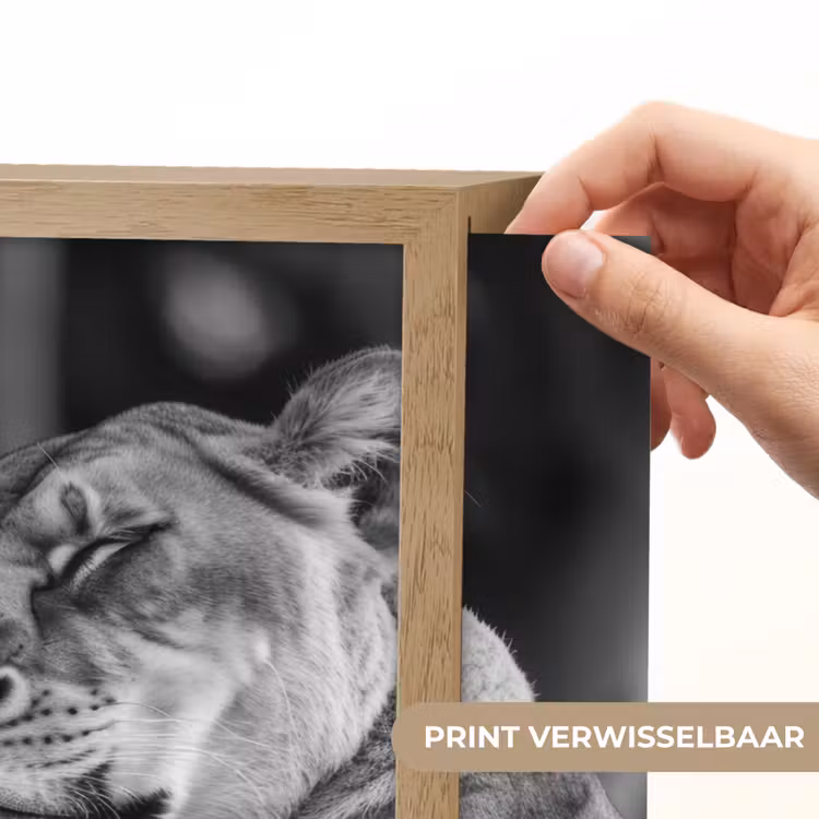 Lightbox - Wandlamp - Leeuwen - Dieren - Zwart - Wit - Leeuw — 5