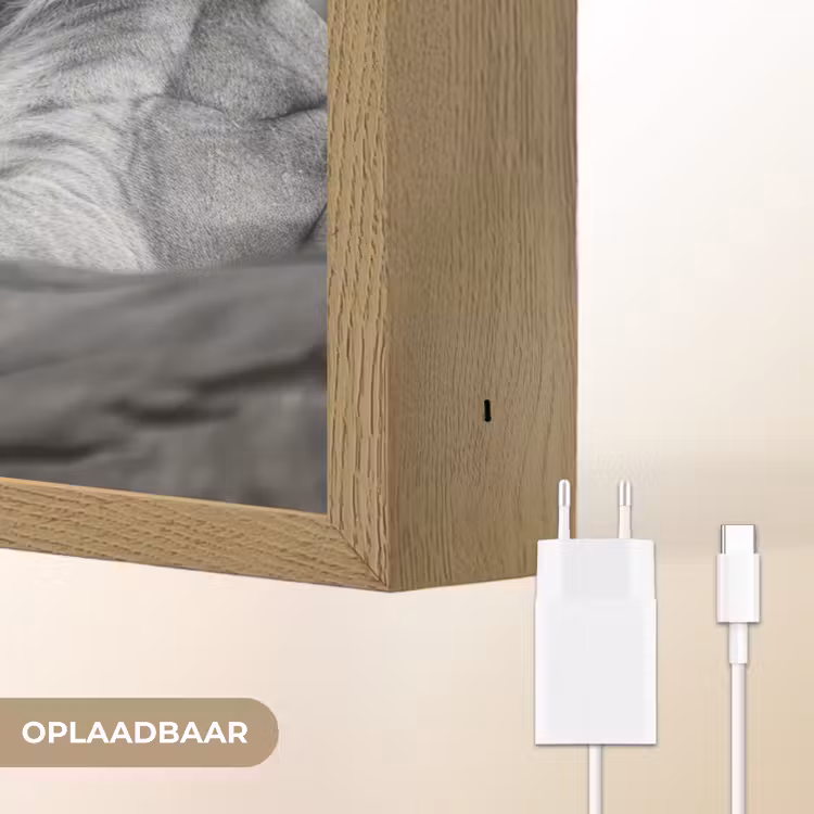 Lightbox - Wandlamp - Leeuwen - Dieren - Zwart - Wit - Leeuw — 7