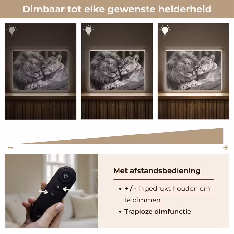 Lightbox - Wandlamp - Leeuwen - Dieren - Zwart - Wit - Leeuw — 9