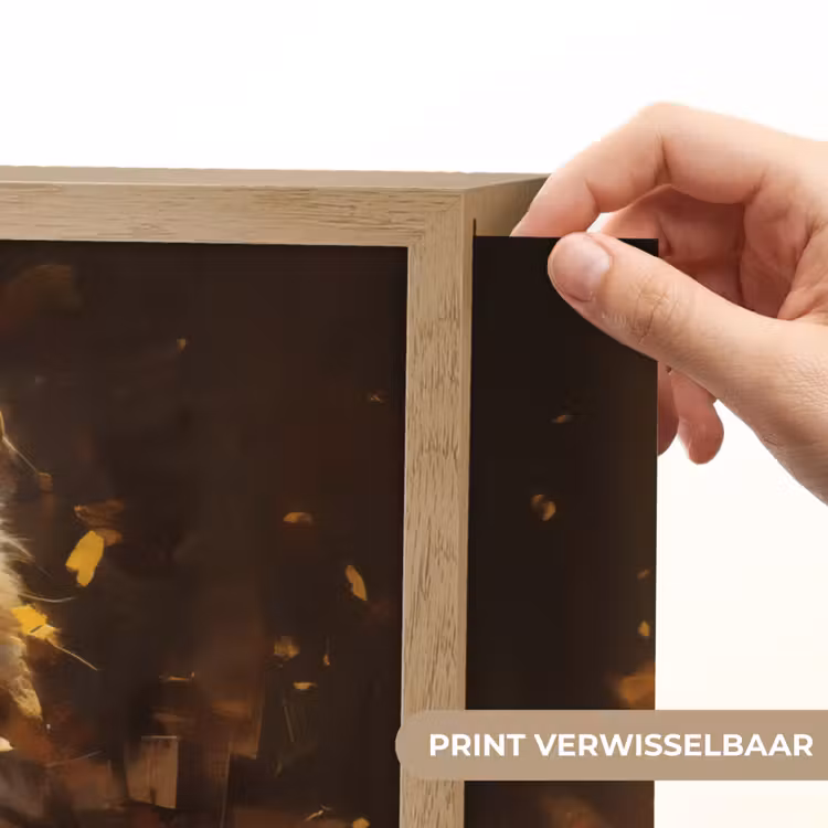 Lightbox - Wandlamp - Leeuw - Geschilderd - Abstract - Goud — 5