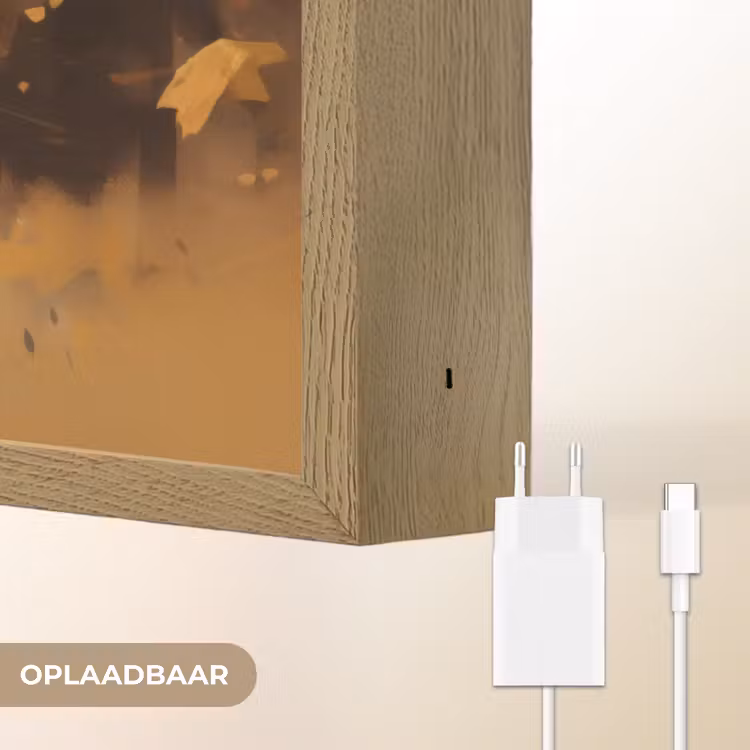 Lightbox - Wandlamp - Leeuw - Geschilderd - Abstract - Goud — 7