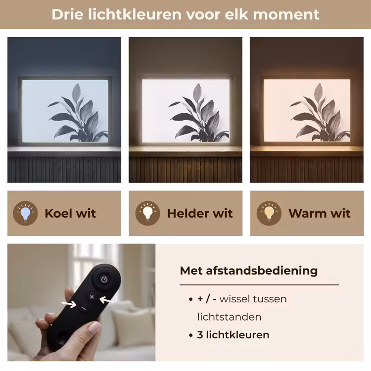Lightbox - Wandlamp - Plant - Bladeren - Minimalistisch - Zwart — 8