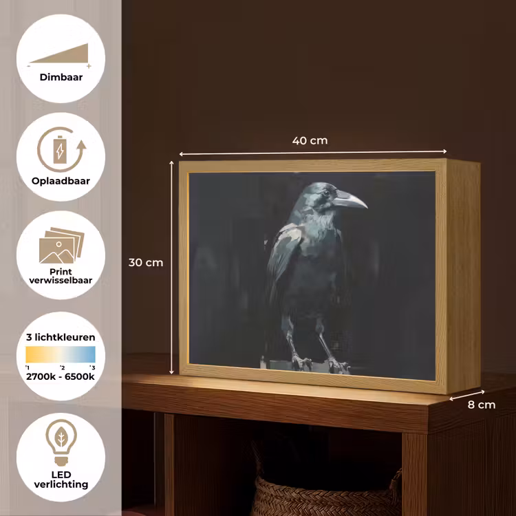 Lightbox - Wandlamp - Raaf - Vogels - Zwart — 10