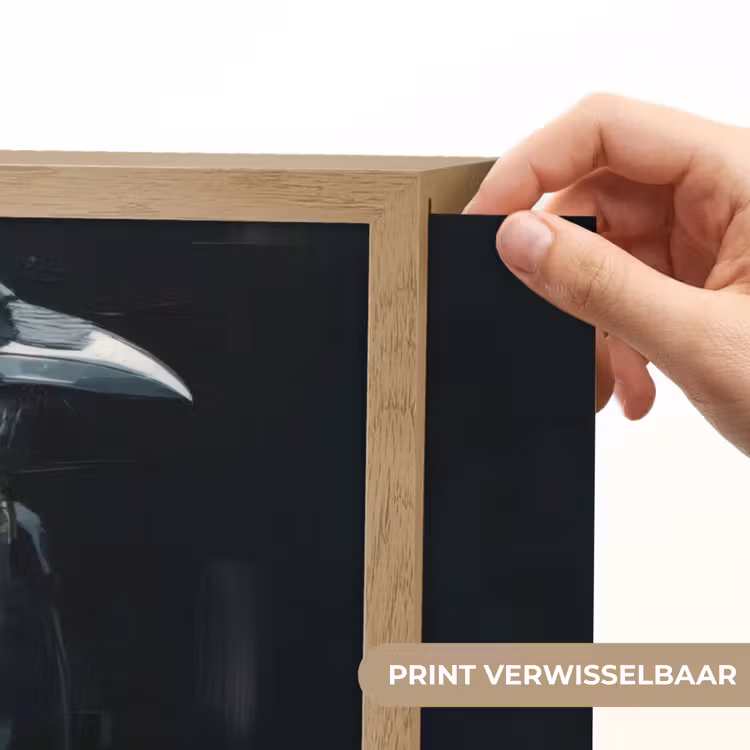 Lightbox - Wandlamp - Raaf - Vogels - Zwart — 5