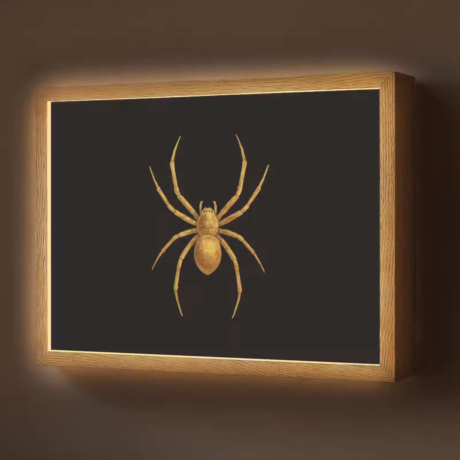 Lightbox - Wandlamp - Spin - Goud - Minimalistisch - Poten — 1