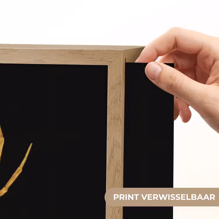 Lightbox - Wandlamp - Spin - Goud - Minimalistisch - Poten — 5