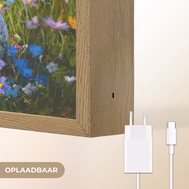 Lightbox - Wandlamp - Grasveld - Eieren - Bloemen — 7
