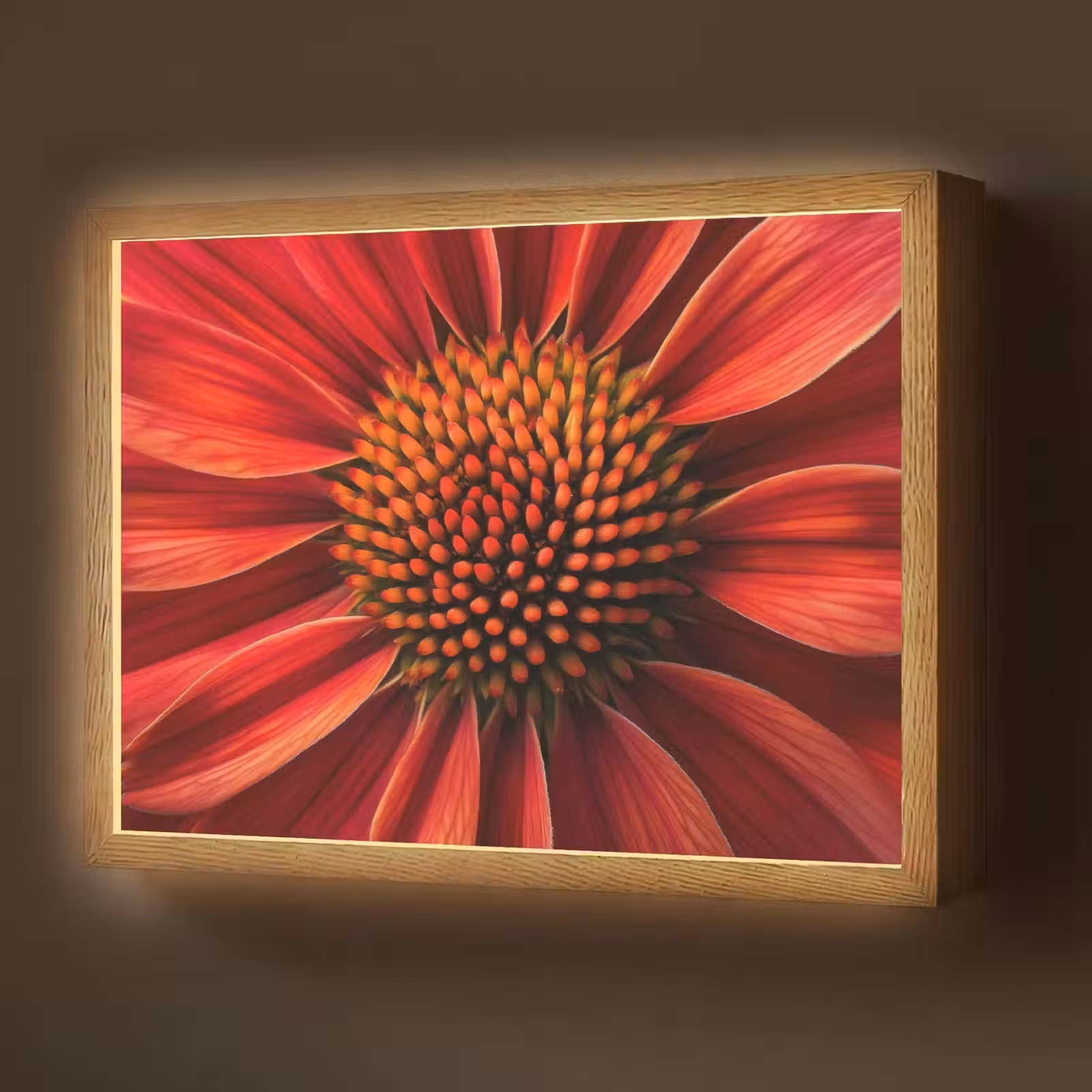 Lightbox - Wandlamp - Close up - Bloem- Rood — 1