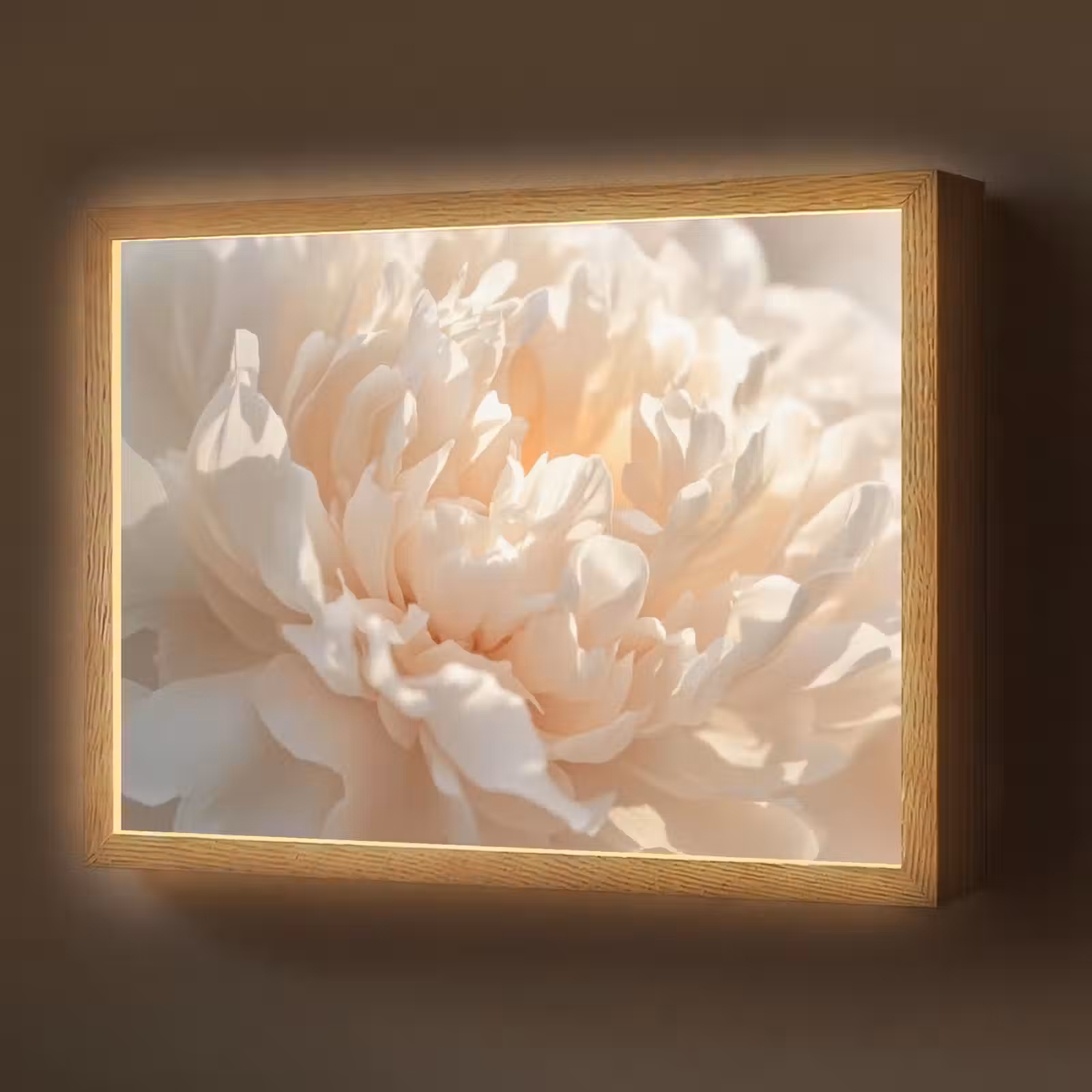 Lightbox - Wandlamp - Close up - Pioenroos - Lichtroze — 1