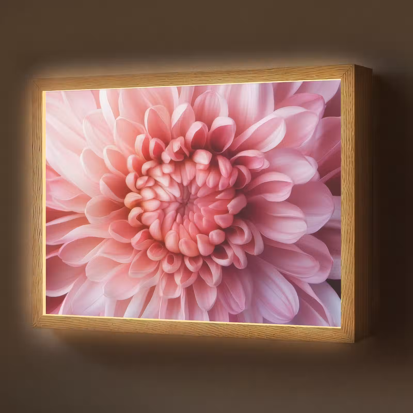 Lightbox - Wandlamp - Dahlia - Bloem - Close up - Roze — 1