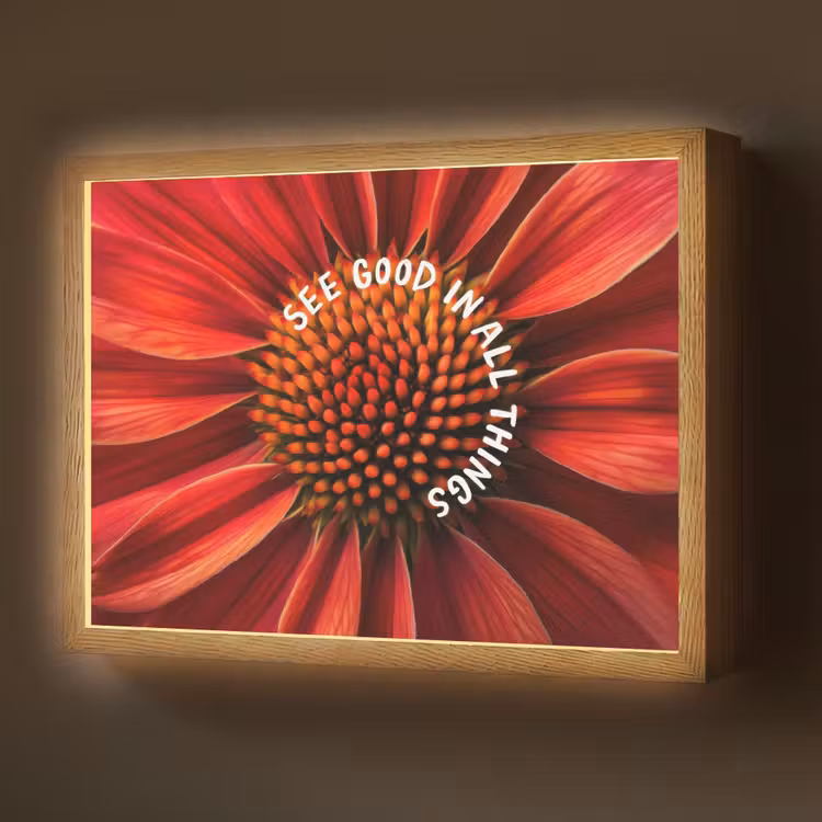 Lightbox - Wandlamp - Close up - Bloem - Quote - Rood — 1