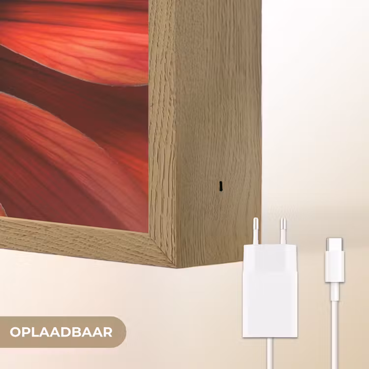 Lightbox - Wandlamp - Close up - Bloem - Quote - Rood — 7