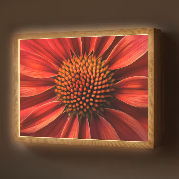 Lightbox - Wandlamp - Close up - Bloem- Rood — 1