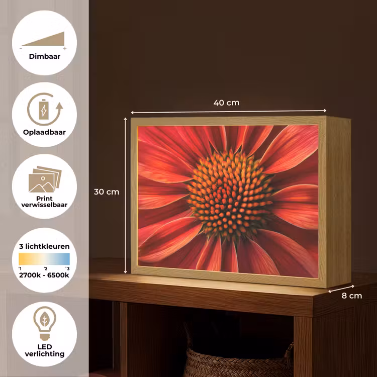 Lightbox - Wandlamp - Close up - Bloem- Rood — 10