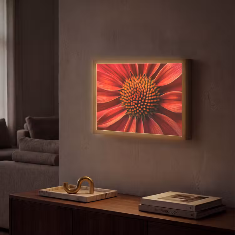 Lightbox - Wandlamp - Close up - Bloem- Rood — 2
