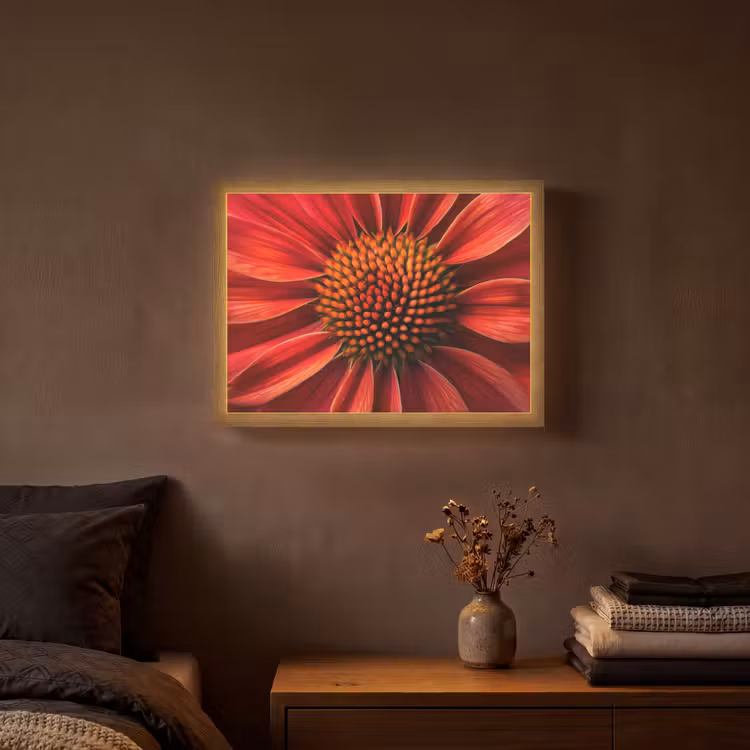 Lightbox - Wandlamp - Close up - Bloem- Rood — 3