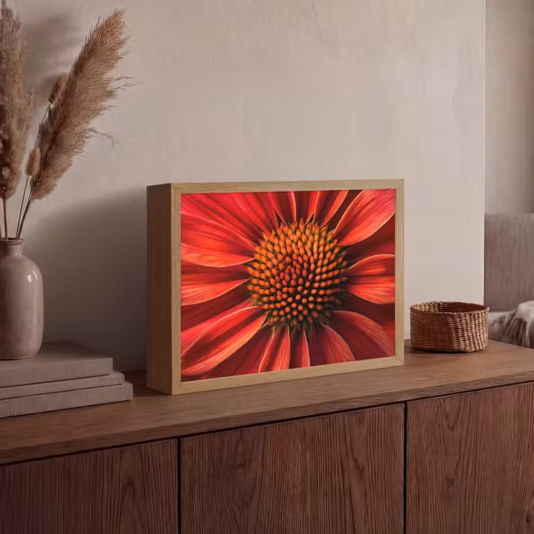 Lightbox - Wandlamp - Close up - Bloem- Rood — 4