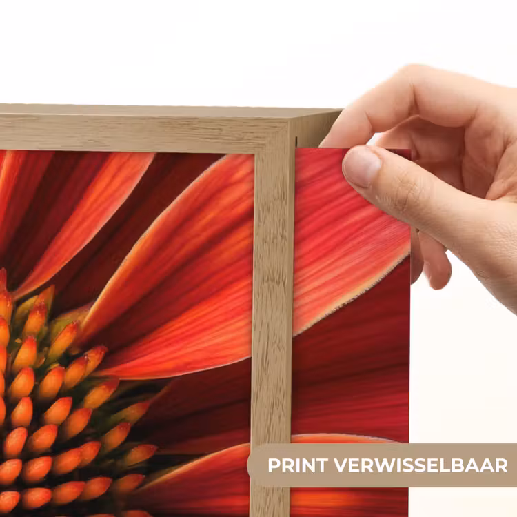 Lightbox - Wandlamp - Close up - Bloem- Rood — 5