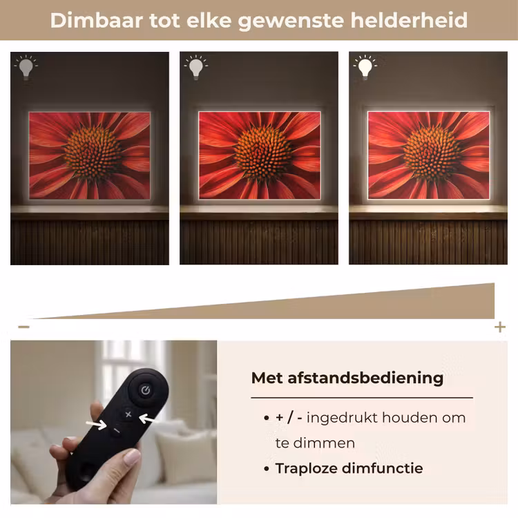 Lightbox - Wandlamp - Close up - Bloem- Rood — 9
