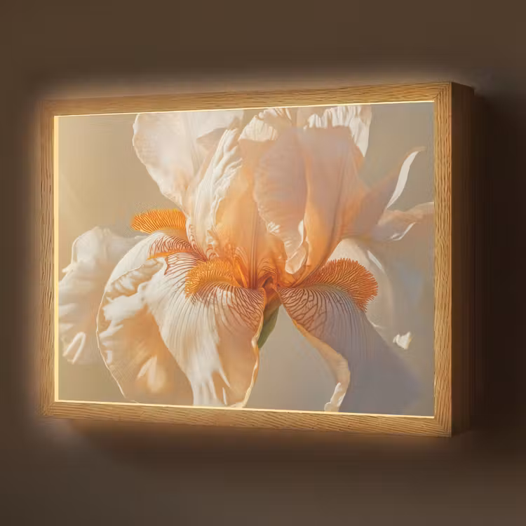 Lightbox - Wandlamp - Close up - Oranje - Iris — 1