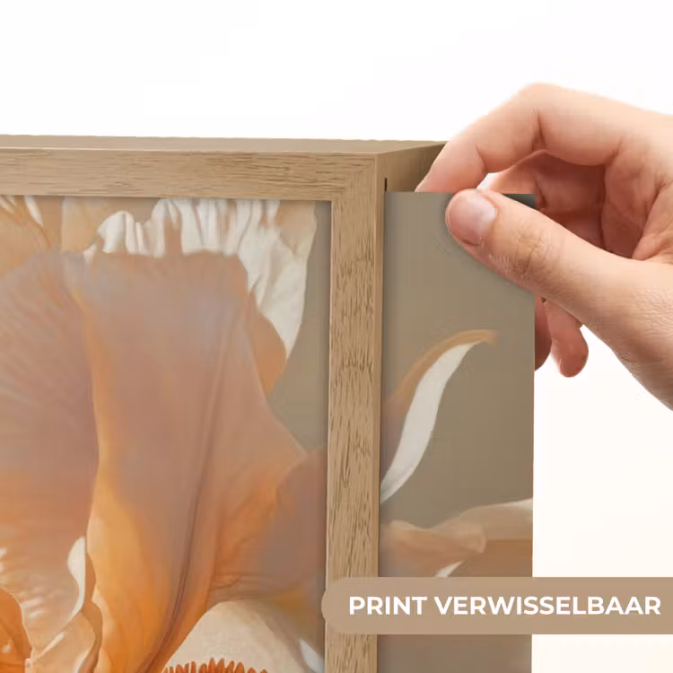 Lightbox - Wandlamp - Close up - Oranje - Iris — 5