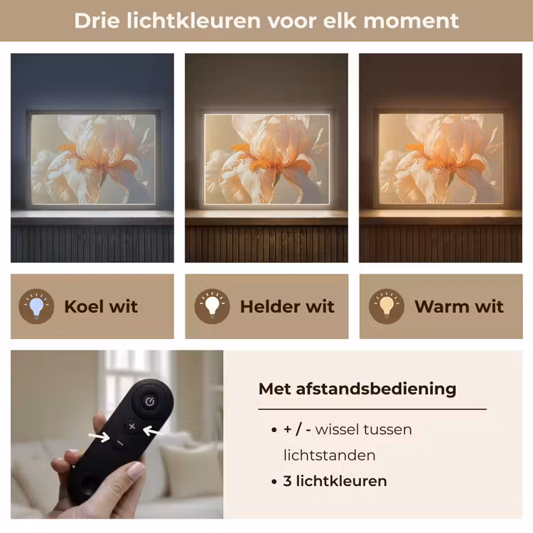 Lightbox - Wandlamp - Close up - Oranje - Iris — 8