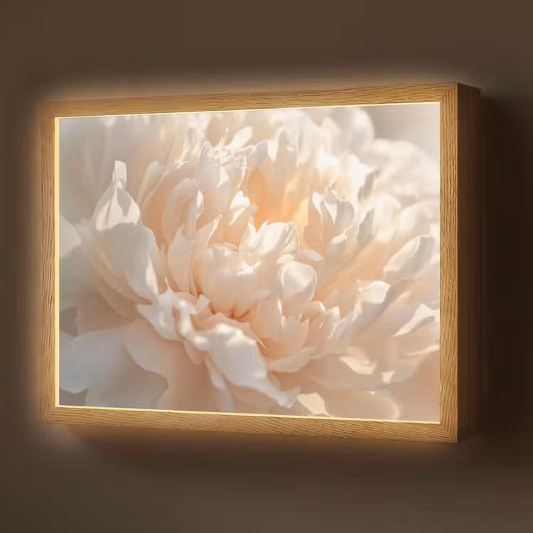 Lightbox - Wandlamp - Close up - Pioenroos - Lichtroze — 1