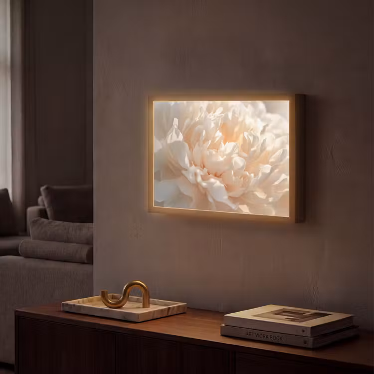 Lightbox - Wandlamp - Close up - Pioenroos - Lichtroze — 2