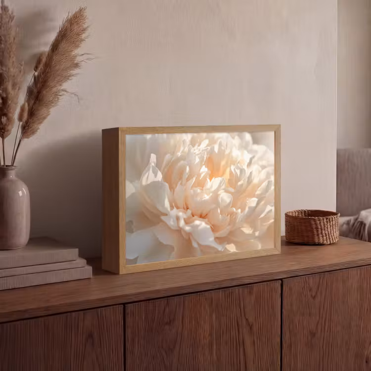 Lightbox - Wandlamp - Close up - Pioenroos - Lichtroze — 4